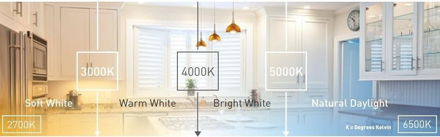 8-Pack A19 - 60 Watt Equivalent Daylight (5000K) LED Light Bulb
