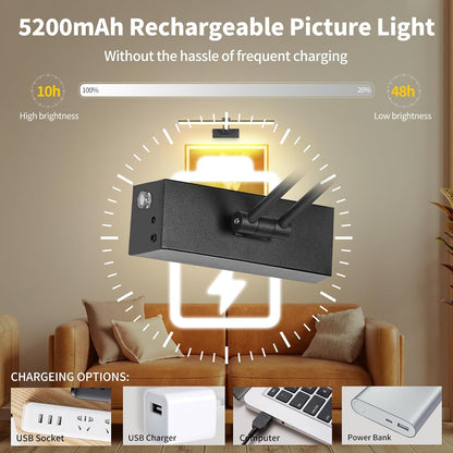 5200Mah Picture Light, Battery Operated Picture Lights for Wall, 16" Remote LED Art Light with Timer for Paintings, Dimmable Metal Painting Light for Display, Gallery (Gold)