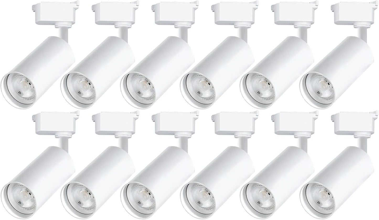 Ultra-Bright H Type Track Lighting Kit with 13.1 FT Track Rails, 12 Heads 3000K Warm White 20W 2400Lm, Dimmable Plug in LED Track Lights Modern Indoor Spotlight Fixture
