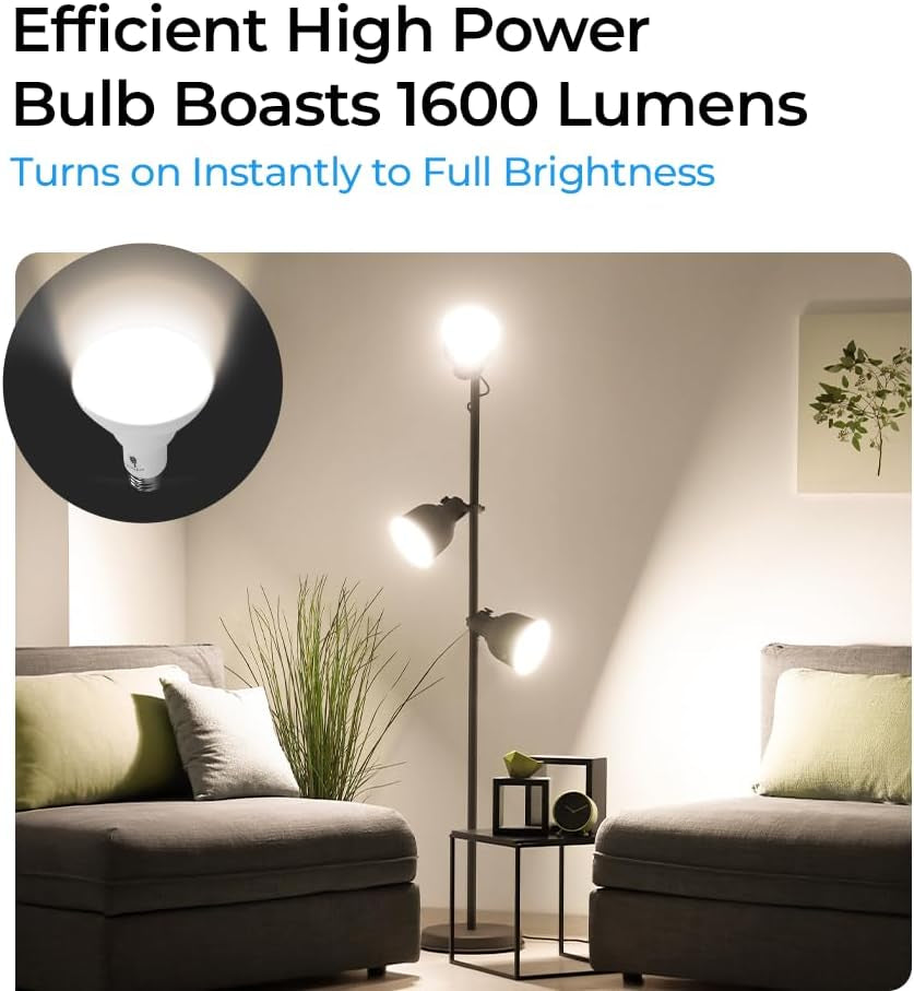 Bluex Bulbs 4 Pack 16W BR30 HO High Power LED Indoor Flood Light Bulbs - 3000K Warm White Dimmable 1600 Lumens E26 120W Equivalent Base Recessed Can Lights - R30 Home Kitchen Spot Ceiling Lights