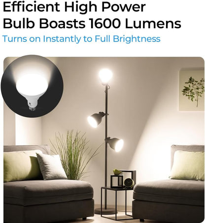 Bluex Bulbs 4 Pack 16W BR30 HO High Power LED Indoor Flood Light Bulbs - 3000K Warm White Dimmable 1600 Lumens E26 120W Equivalent Base Recessed Can Lights - R30 Home Kitchen Spot Ceiling Lights