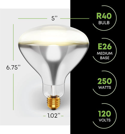 250R40/1 250-Watt, Incandescent R40 Reflector, Clear Head Lamp, Heat Flood Lamp Light Bulb, E26 Standard Medium Screw Base, 120V, 6,000 Hour Rated (Pack of 2-Clear-Heat Lamps)